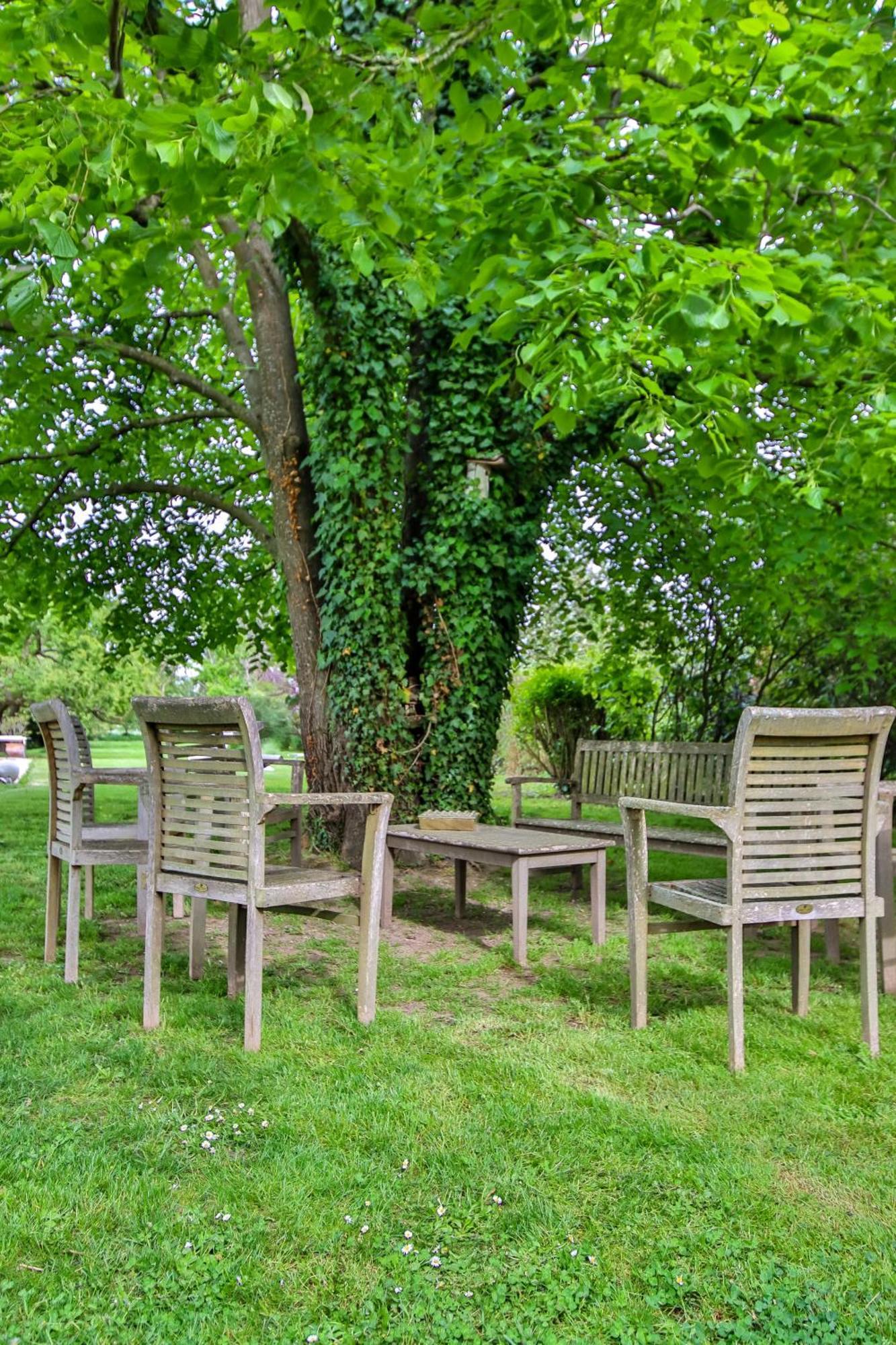 Domaine D'Aromm - Chambres D'Hotes & Gites - Piscine, Etangs & Animaux - Au Calme Ouches エクステリア 写真