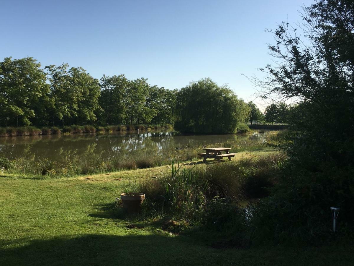 Domaine D'Aromm - Chambres D'Hotes & Gites - Piscine, Etangs & Animaux - Au Calme Ouches エクステリア 写真